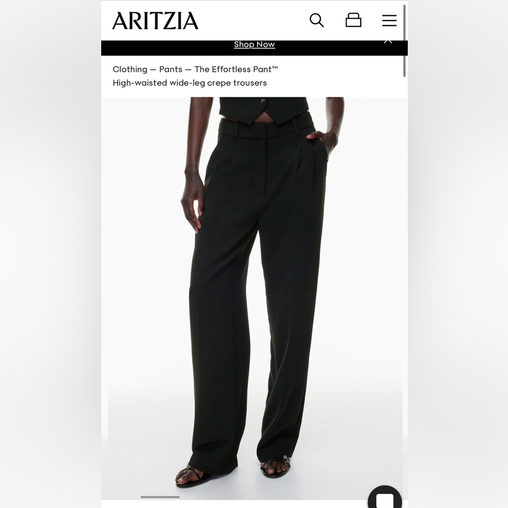 Aritzia The Effortless Pant